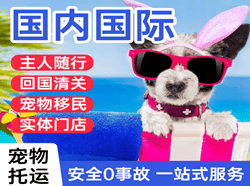 包头东河机场托运国际宠物托运 【国